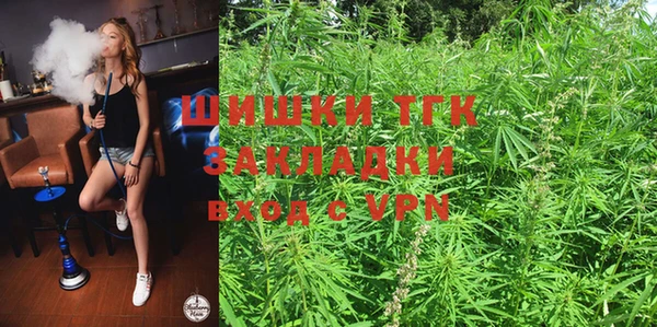 гидра Алексеевка