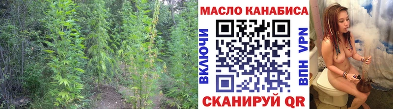 закладка  Гаджиево  Дистиллят ТГК вейп с тгк 